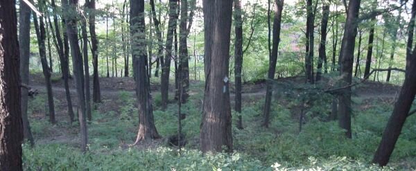 The Bruce Trail - extending from Niagara Falls to Tobemory, the Bruce trail follows the Niagara escarpment right through the City of Hamilton. Spectacular hikes along many sections of this trail are right in Hamilton, minutes from McMaster University Campus.